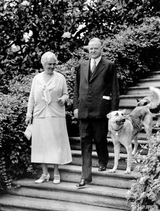 历史上三位总统没有养宠物,美国历史上46个总统