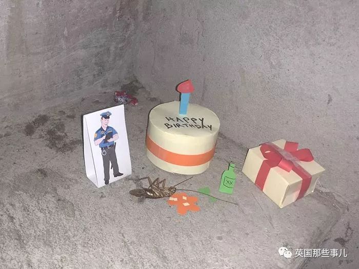 在卧室里发现一只死蟑螂,卧室发现一只死蟑螂