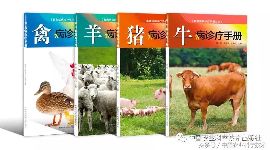 兽医诊断书籍推荐,畜禽疾病处方指南