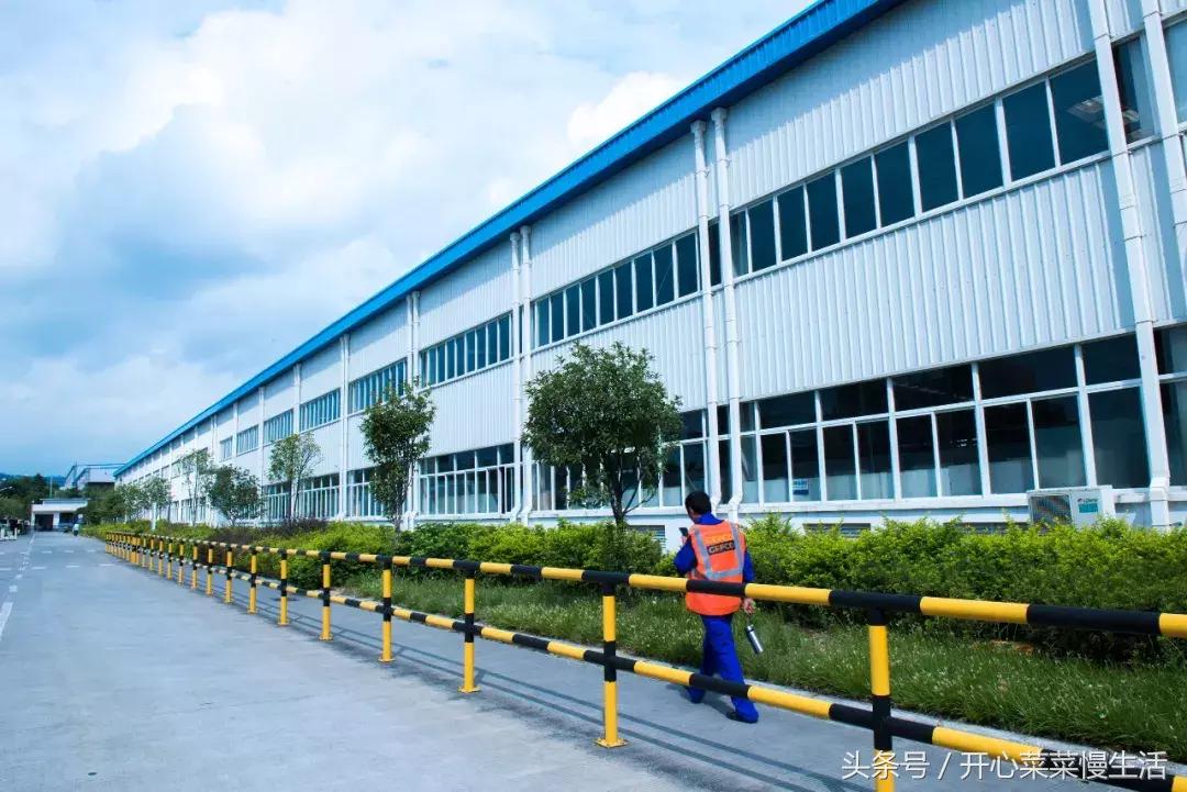 未来会被机器人替代吗,未来人类会被机器人取代吗