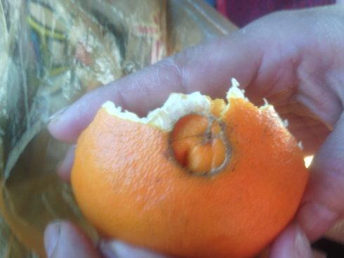 哪种橙营养价值好,红橙与黄橙的营养区别