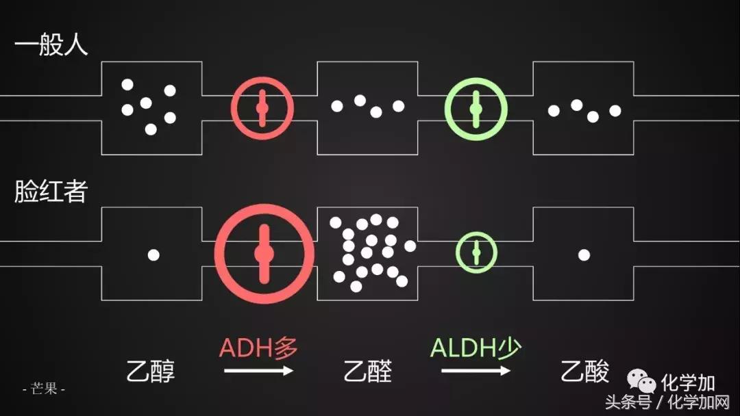 喝酒后皮肤变红逐渐变白是啥,喝酒后脸色会变白什么原因