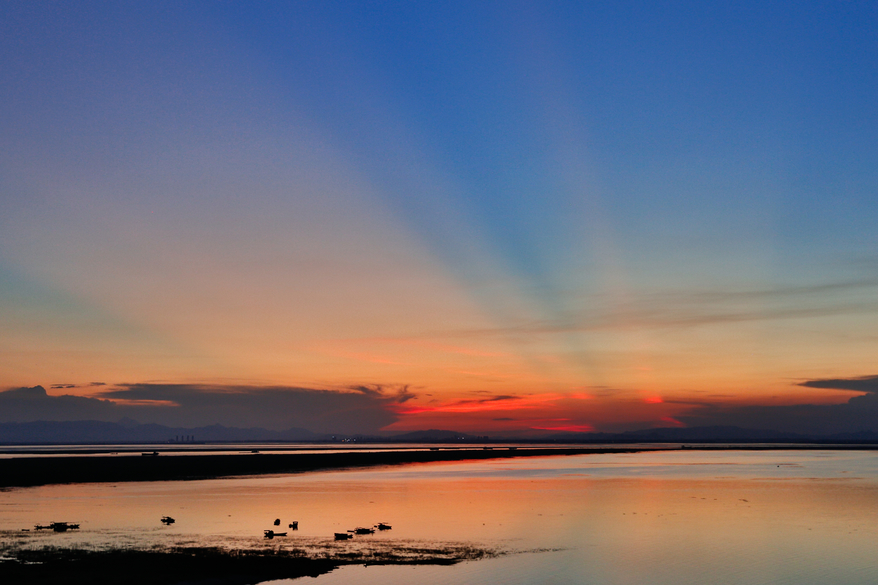 国产2.0t+8at四驱suv,2.0t动力最强的四驱轿车