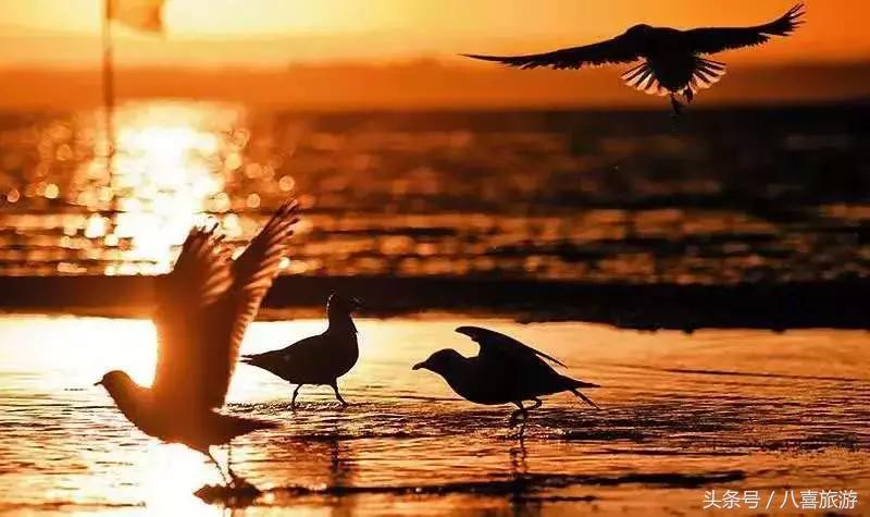 山东今年国庆旅游政策,国庆节黄金大优惠活动