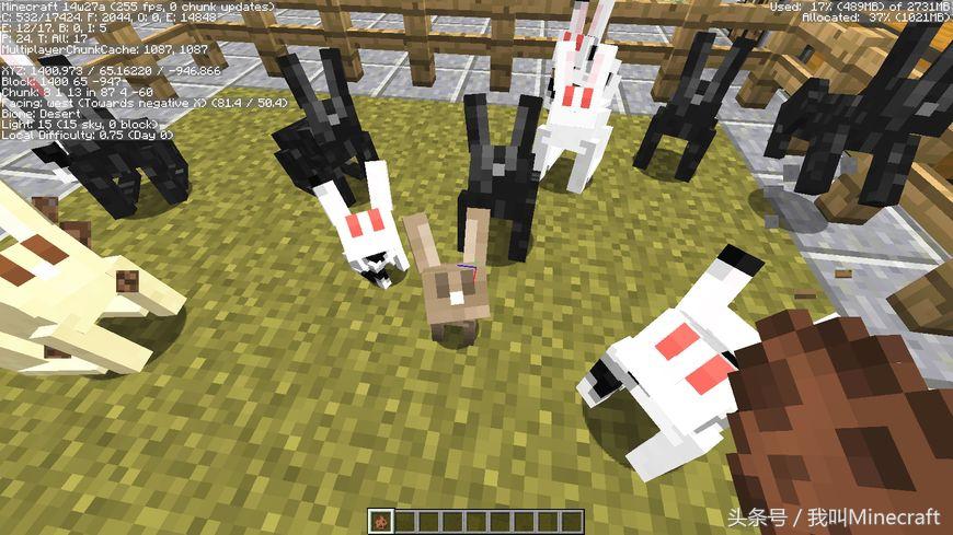 我的世界关于兔子的冷知识,我的世界三种特殊兔子