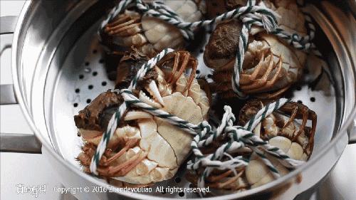 大闸蟹基础知识,大闸蟹科普知识