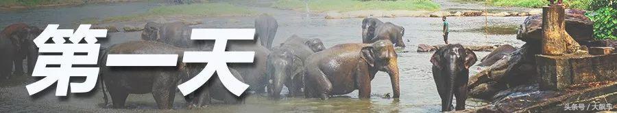 开学“B计划”之，印象斯里兰卡（一）！