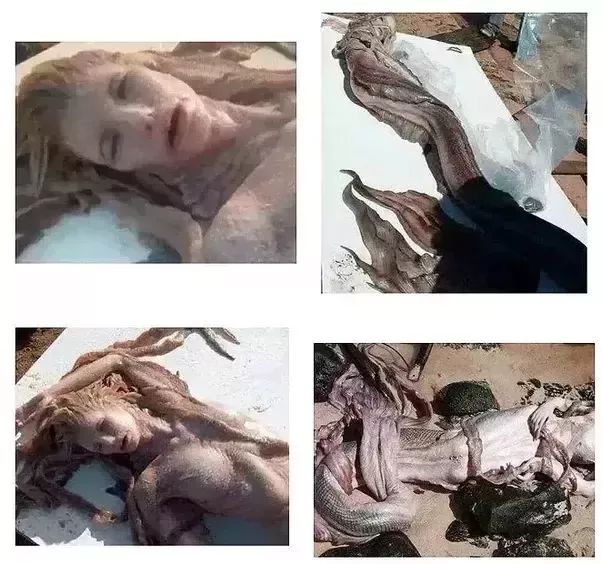 十张无法解释的真实照片,你看到的不一定是真相完整版