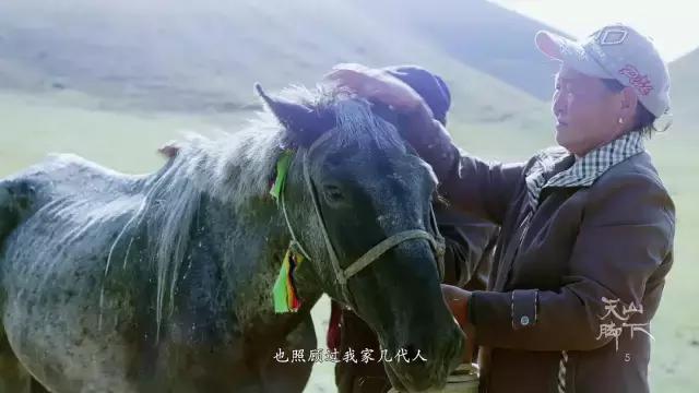 *疆新**，你除了牛羊还有什么？