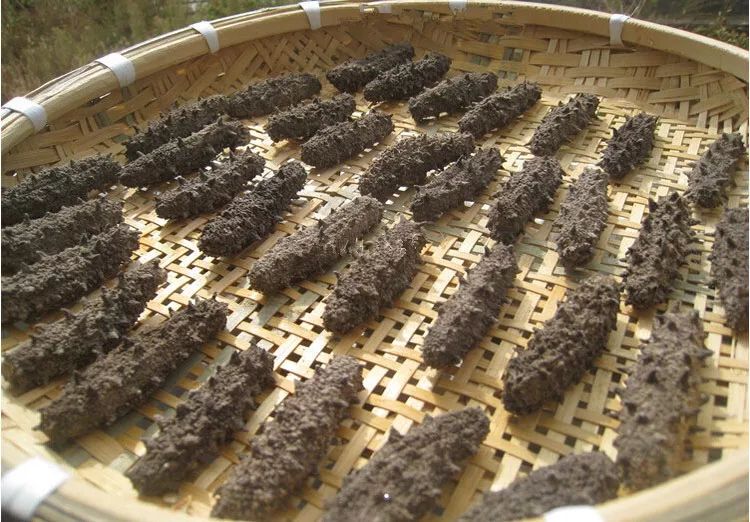 白菜价买海参,白菜价买黄金骗局