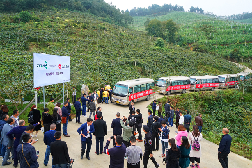 重庆市民国庆有口福了贵州息烽精品猕猴桃首次入渝