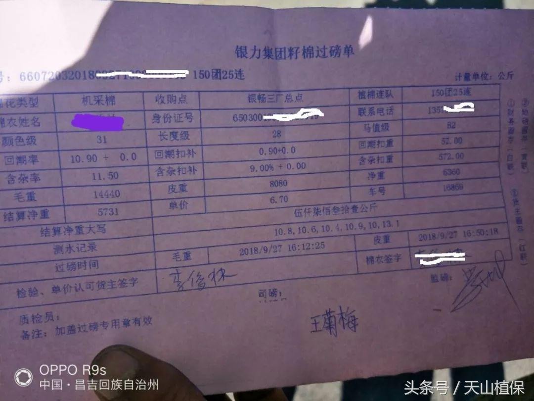 2022年籽棉目前价格,南北疆籽棉收购价格表