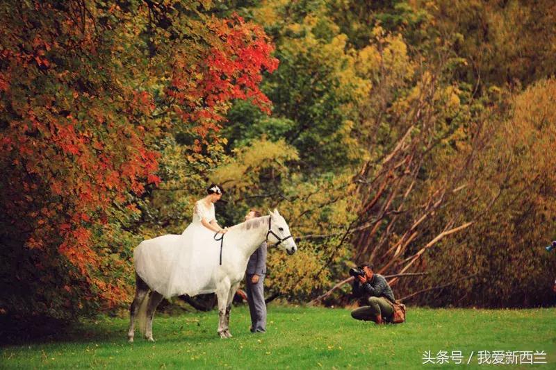 来新西兰以后才发现的变化,新西兰是不是最美丽的地方