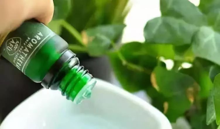 御家汇牵手阿芙精油美妆淘品牌如何*局破**？