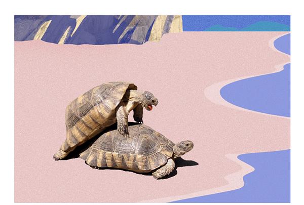 科普——捐精之路，愉悦自己，造福人类