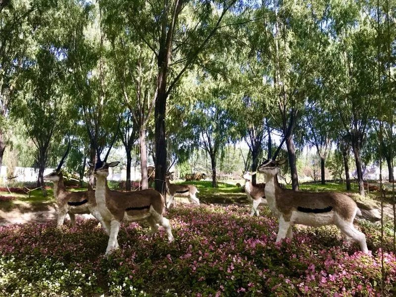 全城通告最新信息,全城通告在线播放