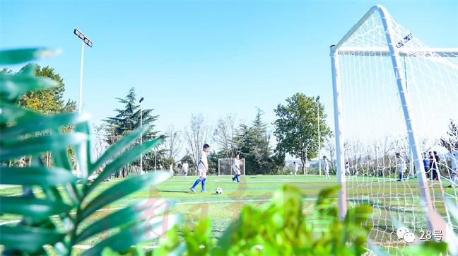 建业足球小镇和建业电影小镇,龙湖建业足球小镇