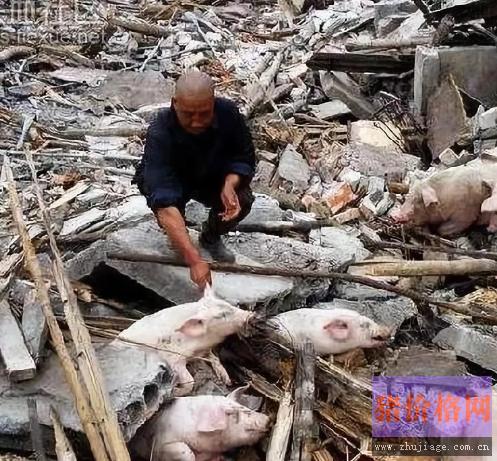 养殖场有环保手续算违建吗,禁养区养殖场有环保关停补偿吗