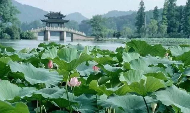 杭州国庆旅游最佳攻略,杭州周边国庆自驾游攻略