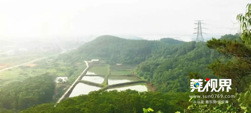 企石风景最美的地方,企石有什么好玩的景点