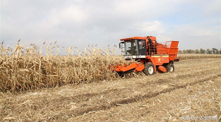 玉米种植收获一体机,玉米收获机的现状和发展趋势
