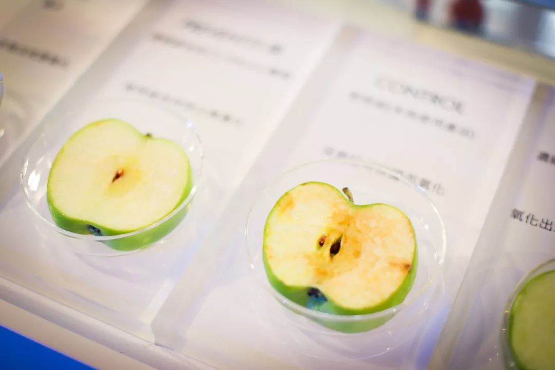 修丽可紧致皮肤,修丽可体验店