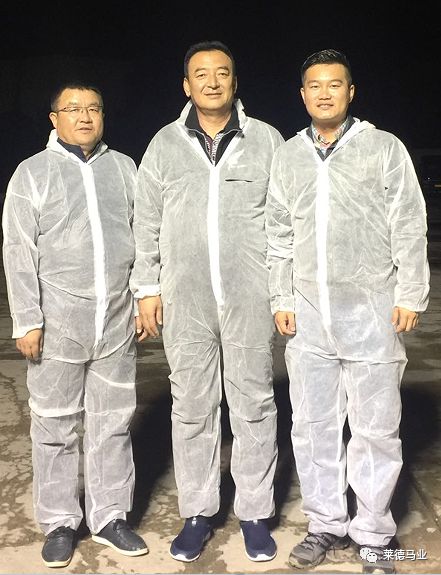 242匹新西兰优骏飞抵，莱德进口马数量与质量稳居全国同行第一！