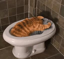 正常尿液颜色是什么颜色图解,如何观察自己的尿液颜色是正常的