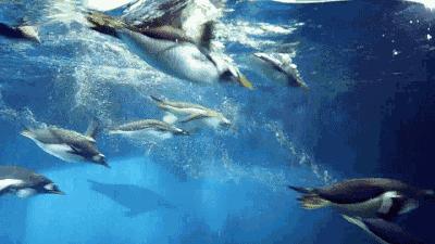 西安这座来了就不愿意离开的城市,西安来了就不想走