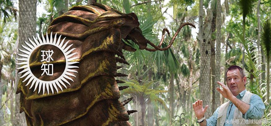 地球上最可怕的虫子,世界上最可怕的而且最厉害的虫子