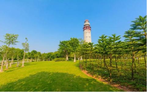 厦门旅游全攻略鼓浪屿篇,最实用的厦门鼓浪屿旅游攻略