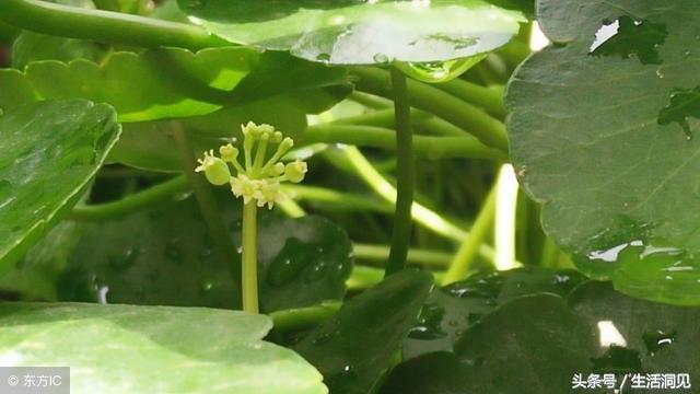 闷声发财的人30岁后的变化,人到中年要学会闷声发大财