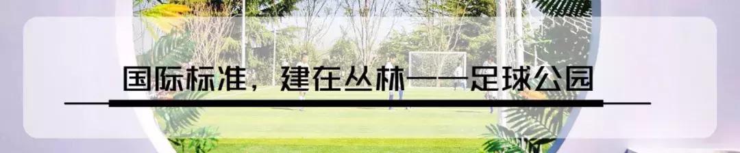 郑州足球小镇2019,郑州足球小镇有真草足球场吗