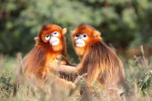 国庆上海游玩攻略三天,上海国庆旅游必去十大景点