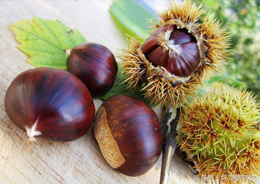 各种干果的营养价值及功效,十二种坚果的功效与作用