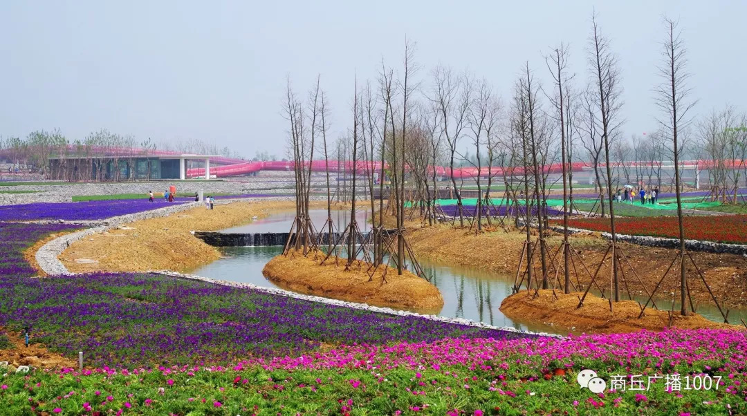 项王故里二日游,江苏宿迁项王故里两日游
