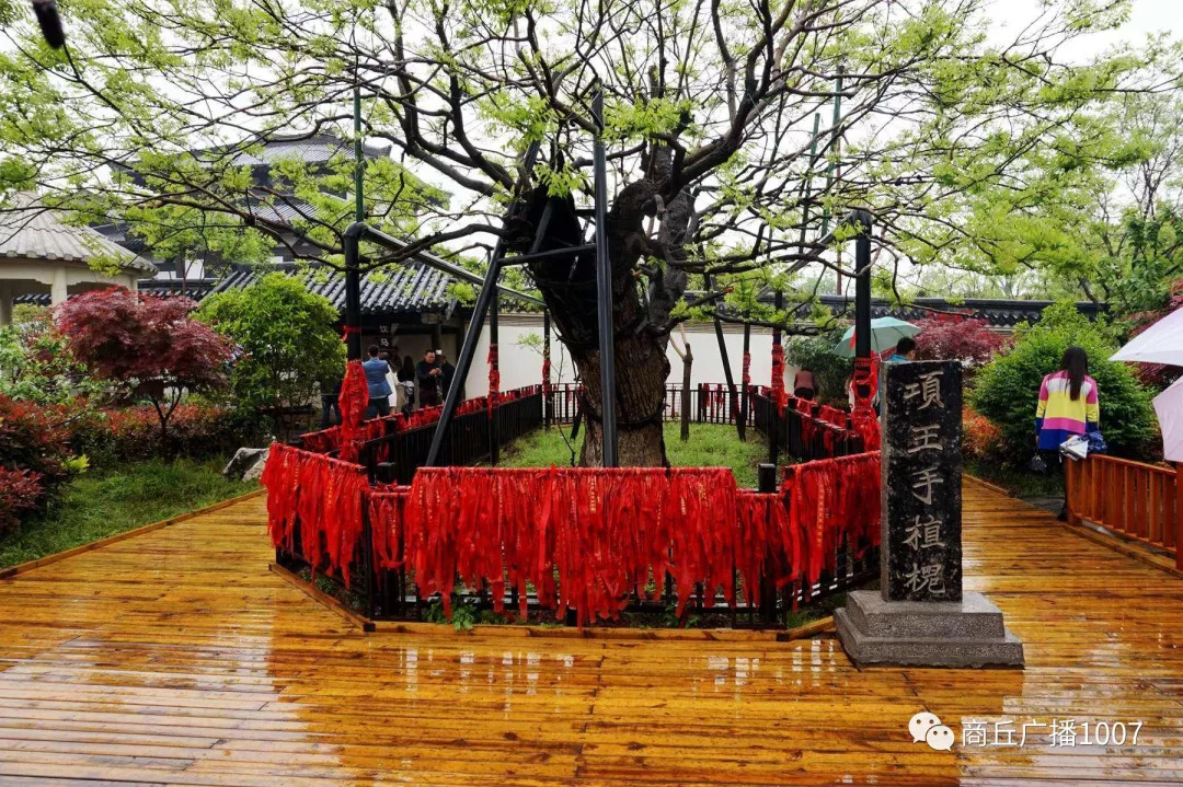 项王故里二日游,江苏宿迁项王故里两日游