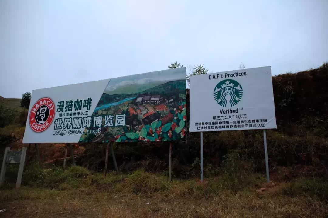 漫猫咖啡品牌有哪些,漫猫咖啡