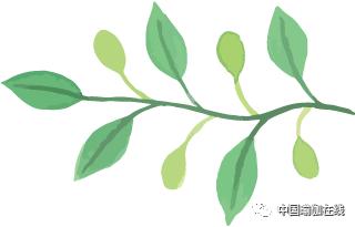 每天30分钟，免费听名师大咖聊瑜伽（新增老师）