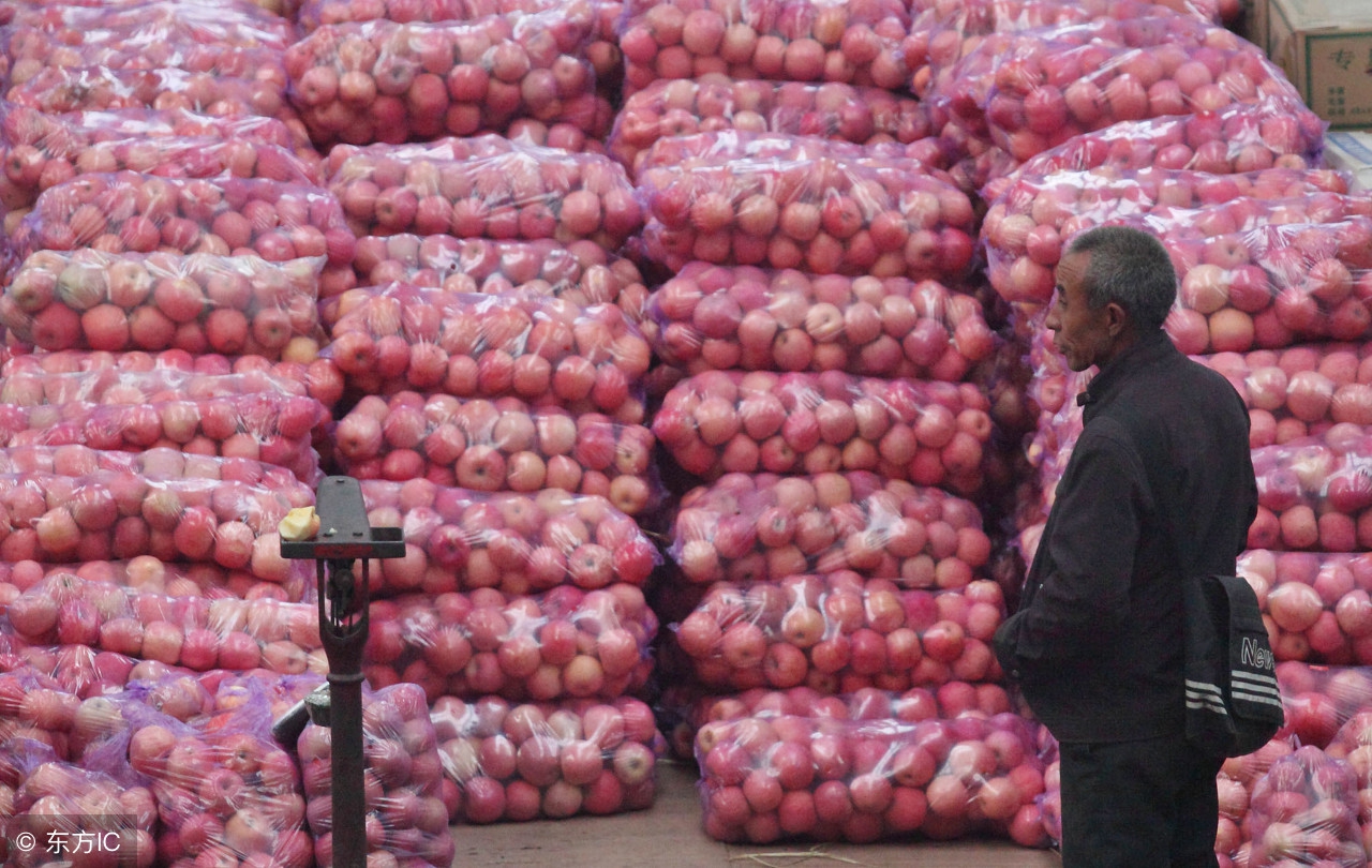 红富士80毫米一级苹果价格,冷库红富士苹果的价格