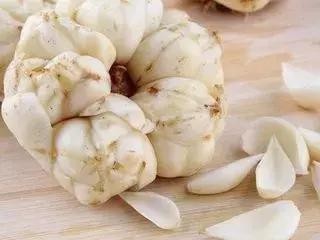 5款百合食疗收好，能治各种秋燥病，让你健康找上门！