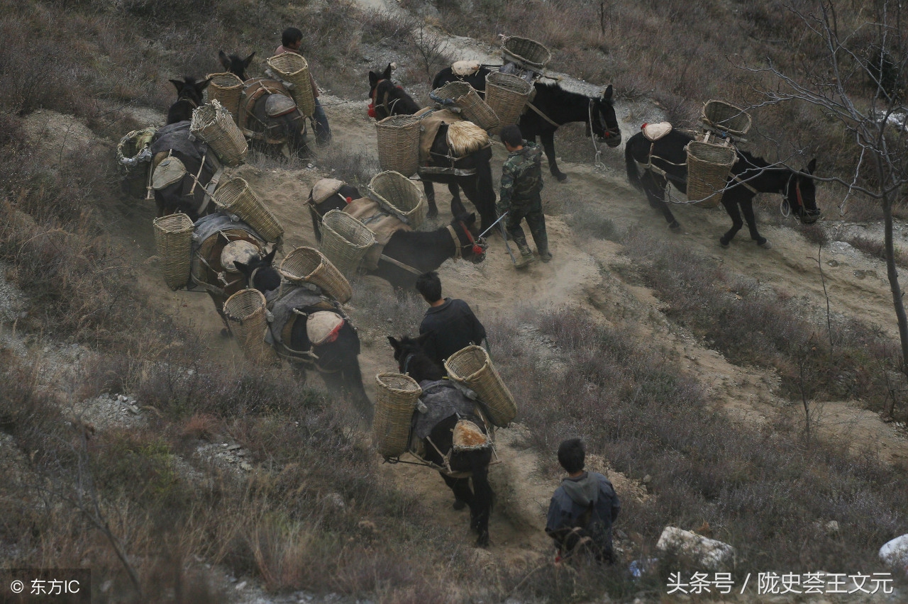 下四川，甘肃临洮水烟走成都，陇商创业的艰辛往事