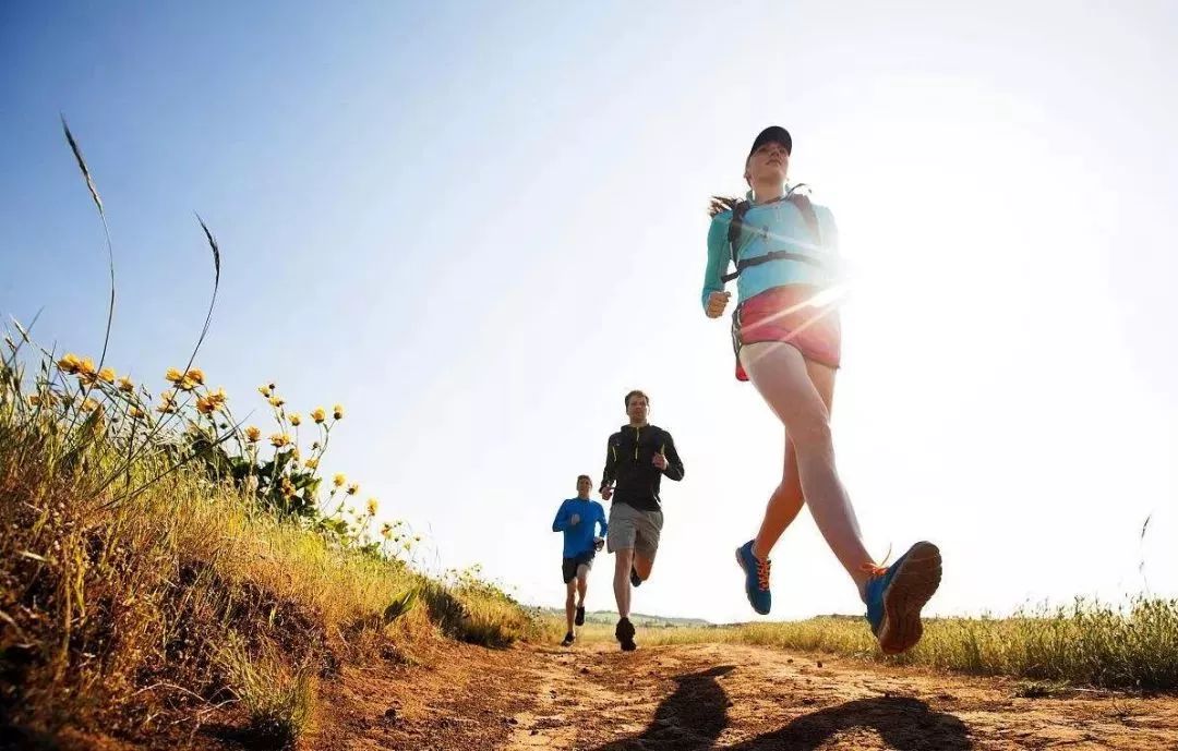 痰湿体质脾胃弱食疗方法大全,阳虚痰湿体质怎么样食疗