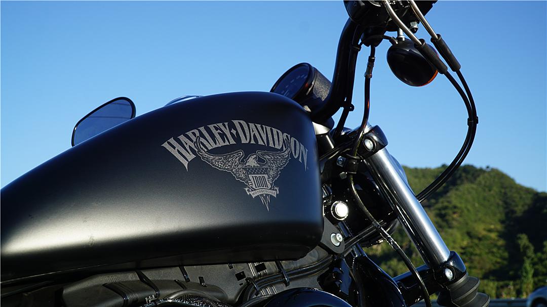 小姐姐为啥大爱硬汉？请看哈雷给出的答案