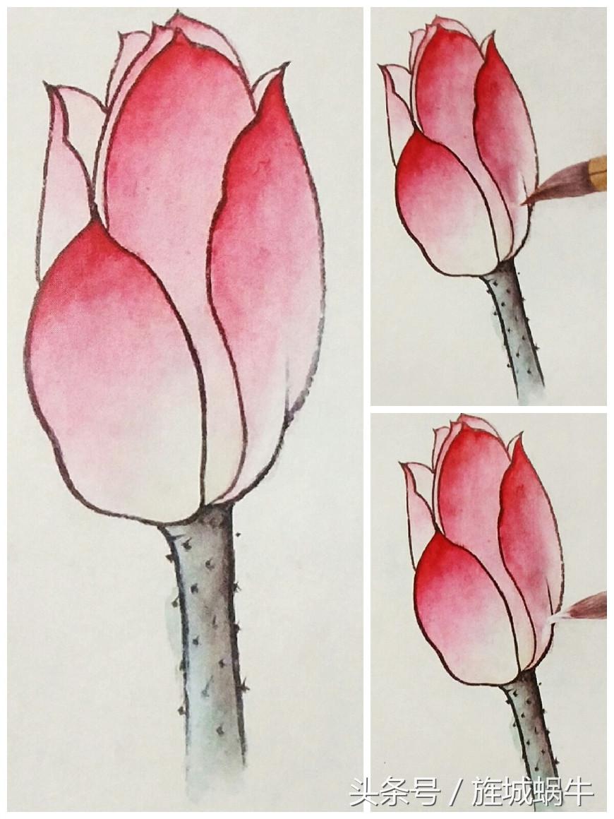 国画工笔重彩教程,国画渲染技法视频