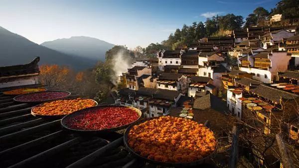 全国十大示范村名单,湖南100个农村特色示范村视频