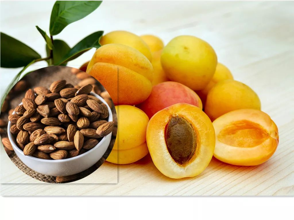 中药杏仁怎么止咳化痰,润肺止咳杏仁