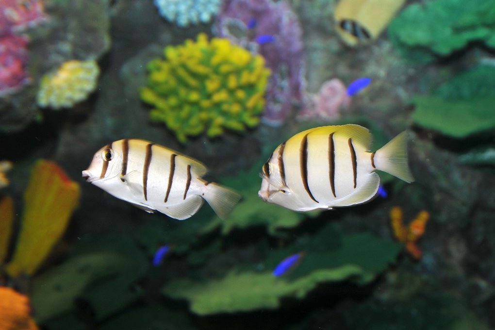 七天自我发现之旅｜Day4放任自我