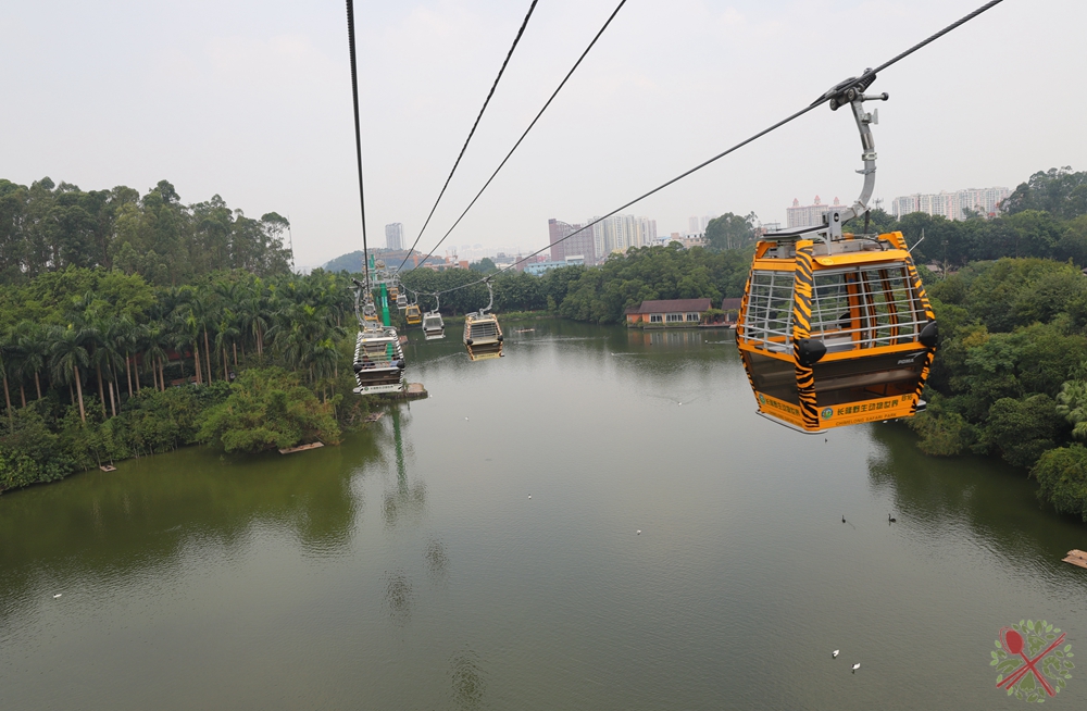 去广州长隆不住景区攻略,春节广州长隆不住园区怎么玩
