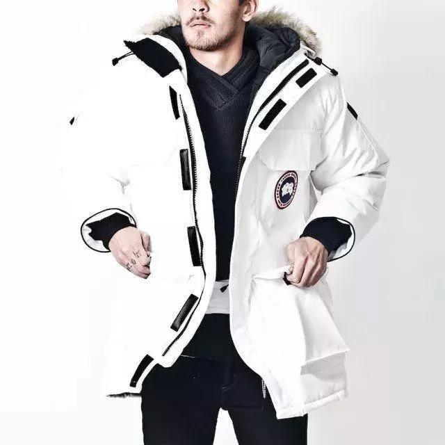 加拿大鹅什么时候涨价,加拿大鹅哭了的视频